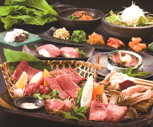 京昌園 富士みなみ