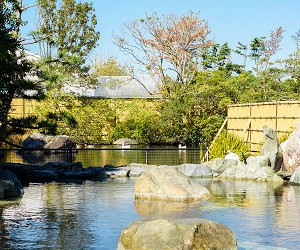 遠州 みなみの湯