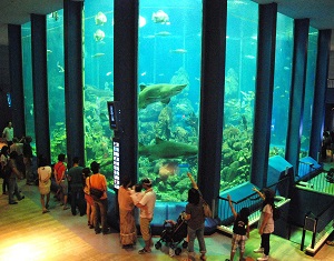 東海大学海洋科学博物館